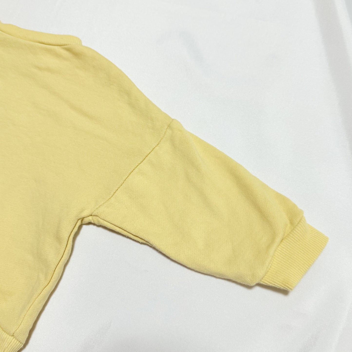 Pompompurin Sweatshirts 12-18m Sanrio